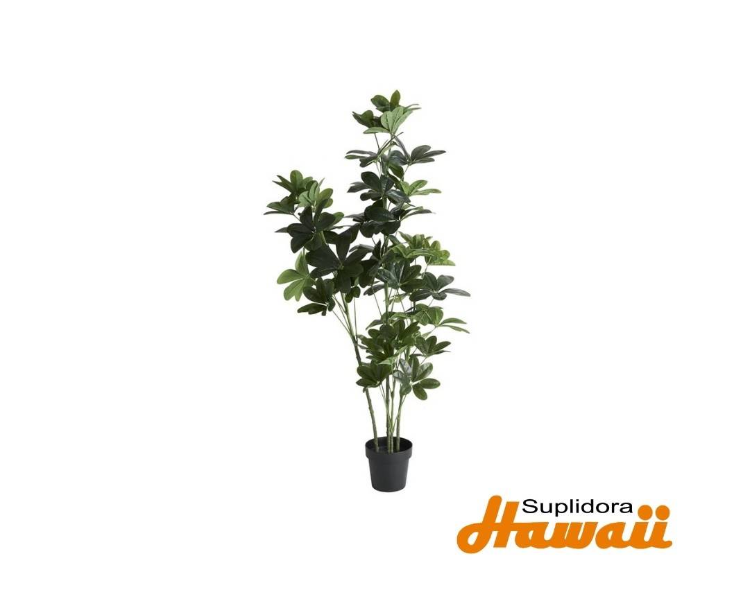 PLANTA DEL DINERO ARTIFICIAL CON 69075 MACETA NEGRA 30W 63H