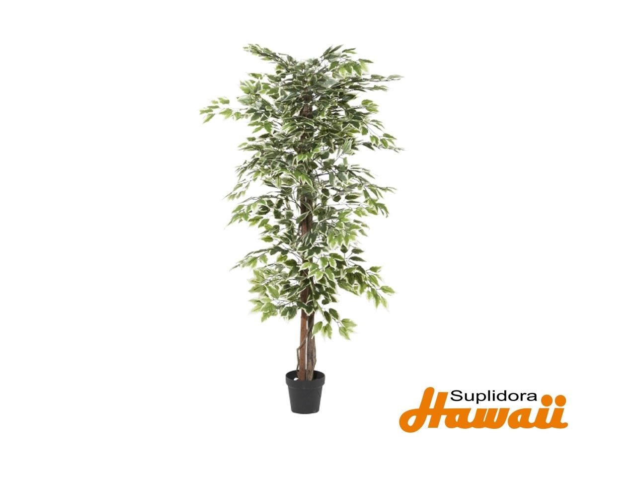 PLANTA FICUS ARTIFICIAL 88287 75H